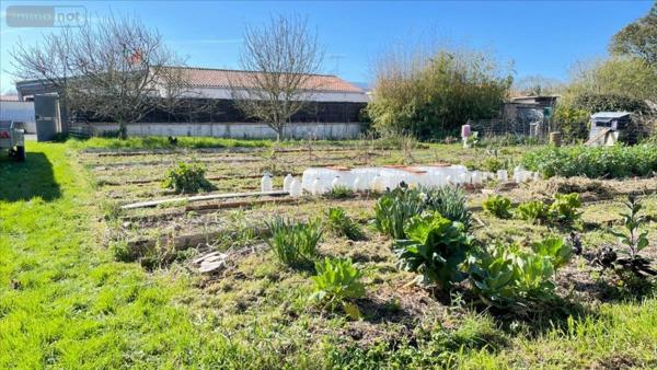 Terrain à Batir à vendre à Salles-sur-Mer en Charente-Maritime (17220), ref : 17112-373