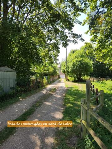 Vente                                                      Maison
                        
                     3 pièces                      70 m2                     à Avaray