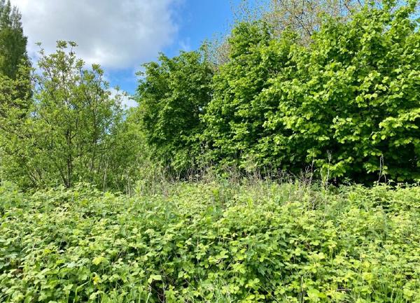 Terrain à vendre    Saint-Josse