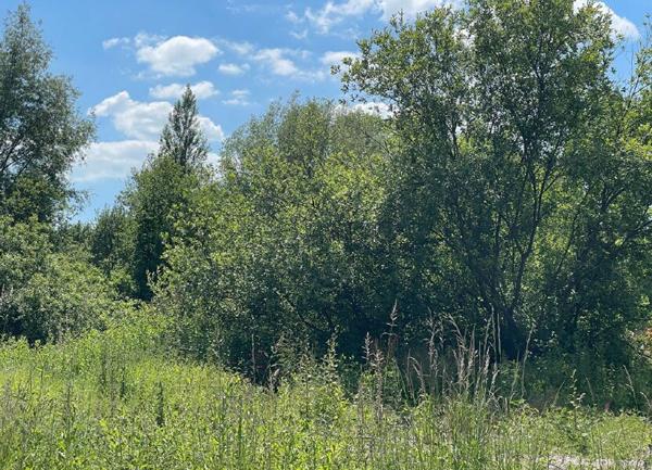 Terrain à vendre    Saint-Josse