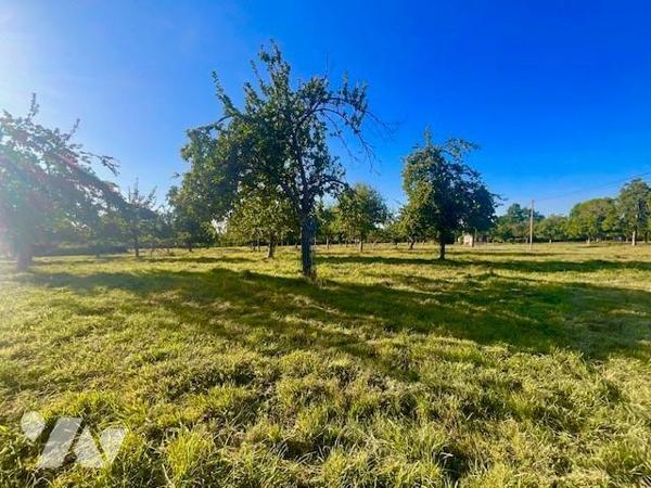 Rare à la vente, 12 minutes de DEAUVILLE, parcelle de terrain à bâtir hors lotissement