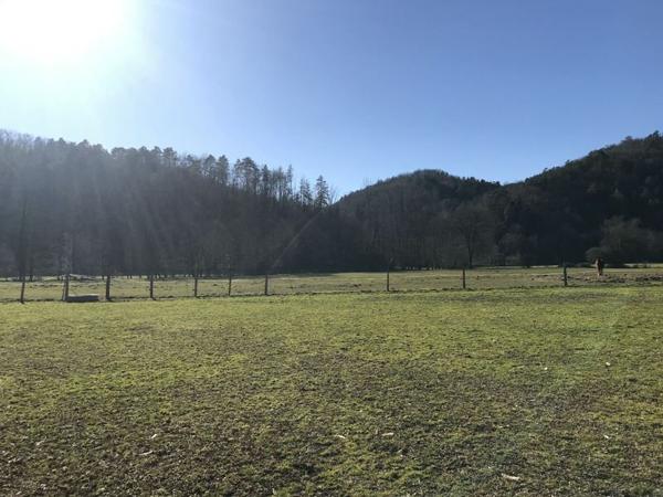 Maison à vendre |  Argentat |  8 pièces | 184 m²