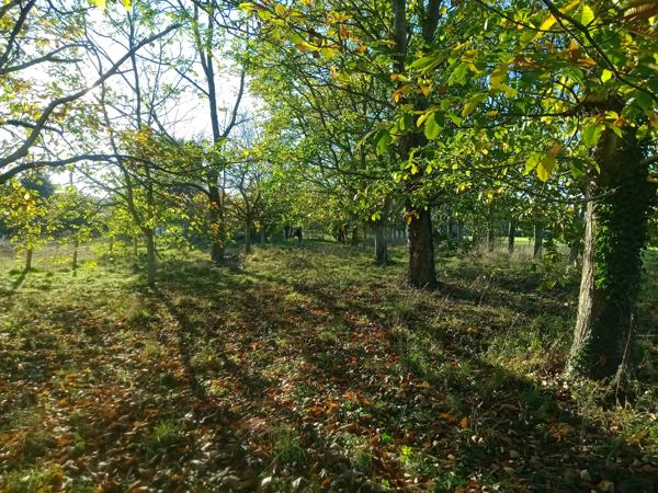 Maison 4 pièces - 62 m²