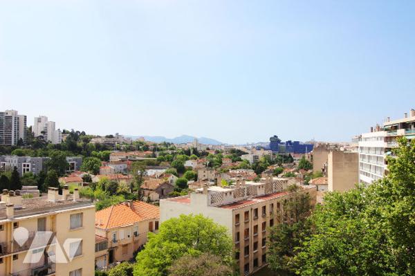 Appartement T3 de 58m2 carrez (refait à neuf) avec très belle vue dégagée