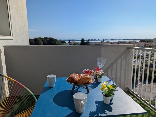 Appartement 3 pièces et bacon avec vue dégagée sur les salins du midi Le Grau-du-Roi (30240)