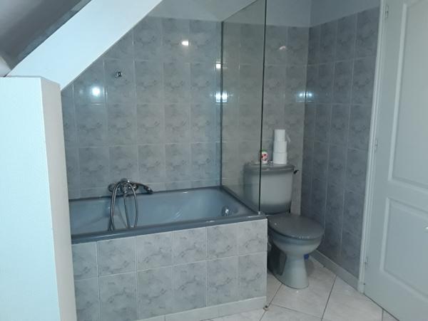 Location Appartement 3 pièces Vineuil (41350) - Château