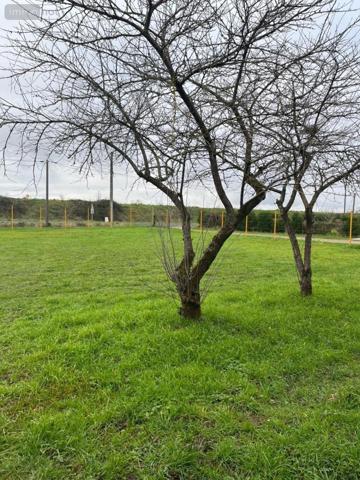 Fonds et/ou murs commerciaux à vendre à Parçay-sur-Vienne dans l'Indre-et-Loire (37220), ref : 37060-2284