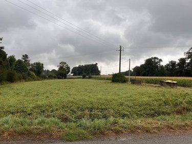 Terrain de loisirs - Bois - Etang à vendre à Guern dans le Morbihan (56310), ref : 56064-1319