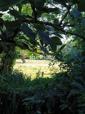 Maison 5 pièces - 156 m²