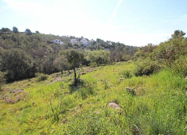 Terrain à vendre    Roquefort-les-Pins