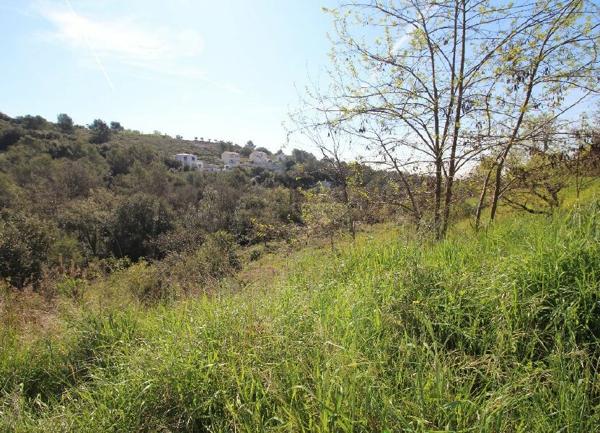Terrain à vendre    Roquefort-les-Pins