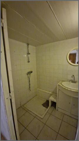 Appartement atypique avec jardin en rez-de-chaussée dans le centre de MONTFERRAND