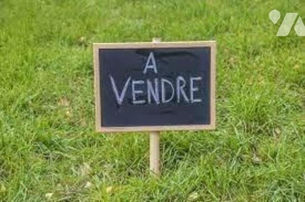 Ensemble de 6 parcelles de bois ( 1 grande et 5 petites) pour un totale de 1ha 28 a 95ca.