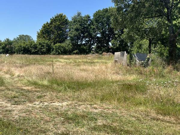 Terrain à vendre |  Le Poiré-sur-Vie |  550 m²