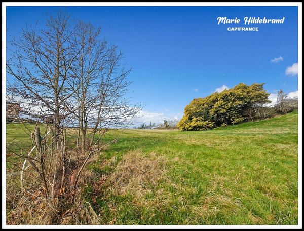Terrain à Bâtir de plus de 2300m² proche de Moissac
