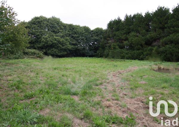 Maison à vendre 7 pièces 136 m² Calan