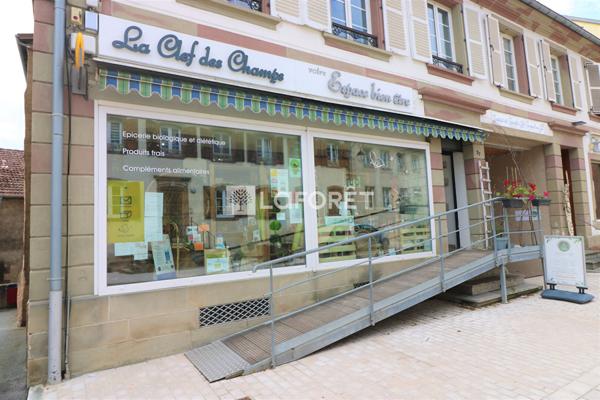 Location local commercial Drulingen - 208 m² - 800 €/mois