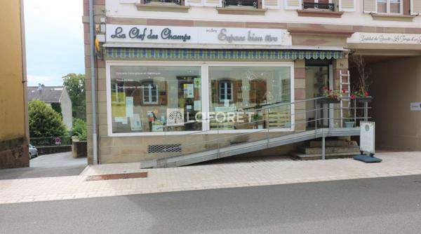 Location local commercial Drulingen - 208 m² - 800 €/mois