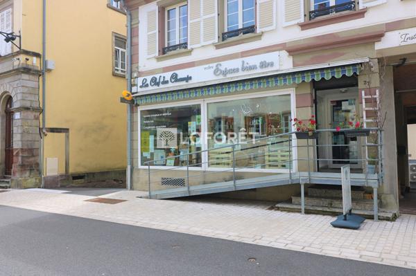 Location local commercial Drulingen - 208 m² - 800 €/mois