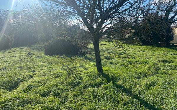 Terrain à vendre    Tonnay-Charente