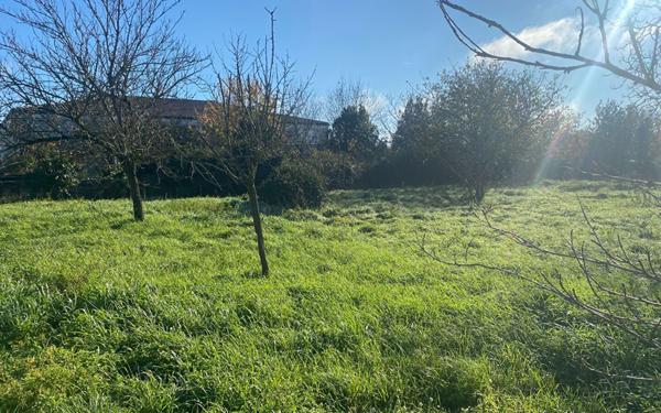 Terrain à vendre    Tonnay-Charente