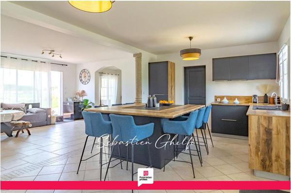 belle maison grande Piece de vie avec 4 chambres dont 1 suite- studio possible