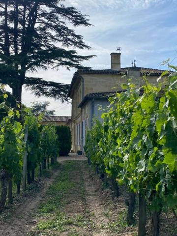 Excellence à Saint-Émilion : Domaine viticole prestigieux avec résidence d'exception