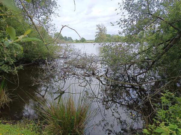 2 ETANGS AU MILIEU DE LA VERDURE