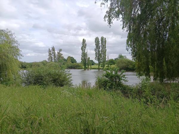 2 ETANGS AU MILIEU DE LA VERDURE