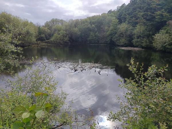 2 ETANGS AU MILIEU DE LA VERDURE