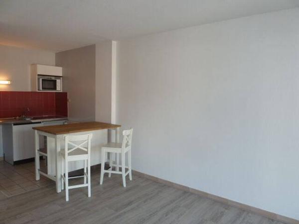 Location appartement Grenoble 38000 1 pièce 40 m²
