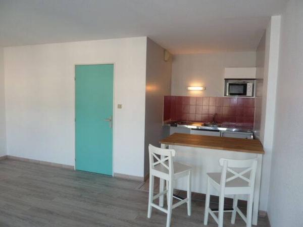 Location appartement Grenoble 38000 1 pièce 40 m²