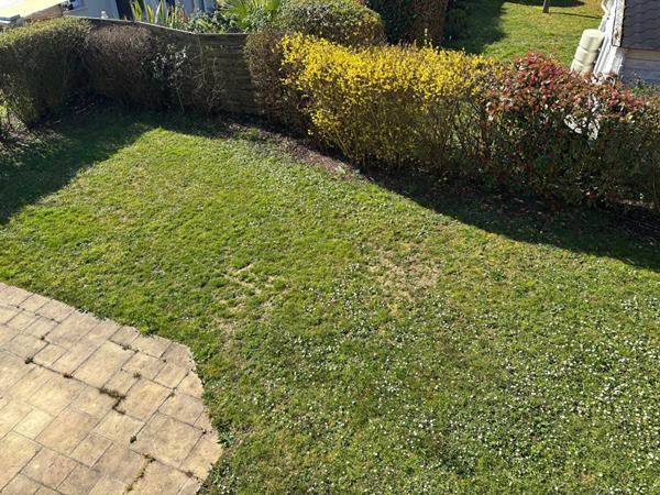 Maison 5 chambres 'Quartier du Souchais"