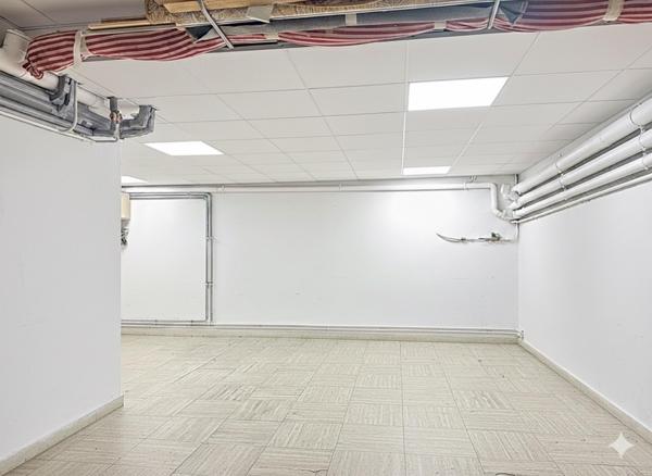 Magnifique Maison Rénovée à La Varenne Saint-Hilaire