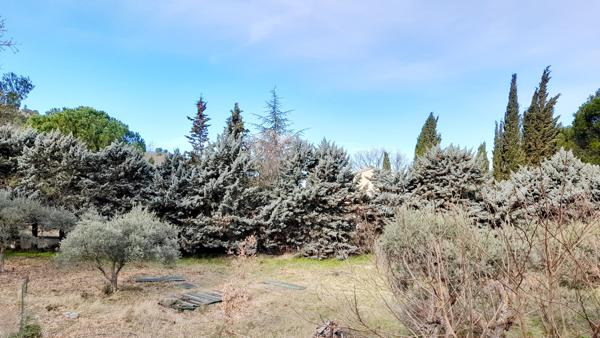 Robion (84440) TERRAIN CONSTRUCTIBLE AU PIED DU LUBERON