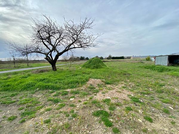 Longère à rénover