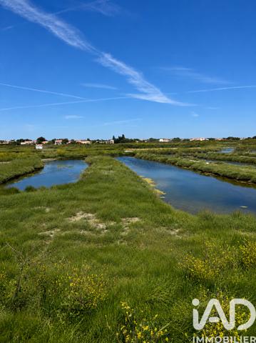 Terrain à vendre 38 845 m² Talmont-Saint-Hilaire