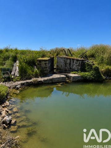 Terrain à vendre 38 845 m² Talmont-Saint-Hilaire