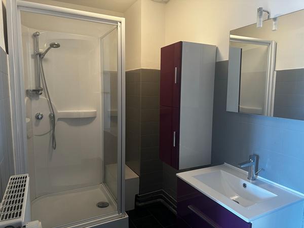 Appartement 57 m² - Place des Vosges à Épinal - Vue canal