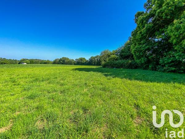 Terrain à vendre 650 m² Languidic