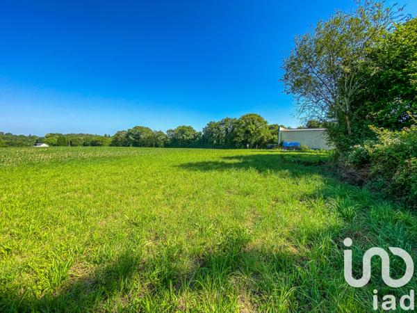 Terrain à vendre 650 m² Languidic