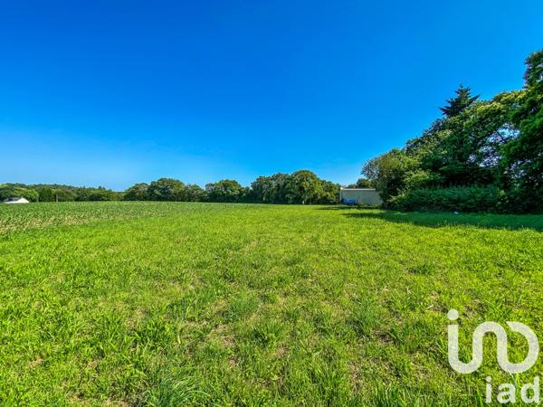 Terrain à vendre 650 m² Languidic