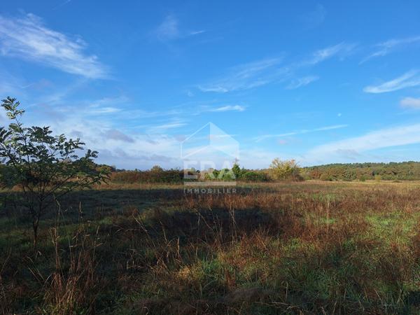 Maison de campagne à 10 minutes de Montpon Ménestérol.