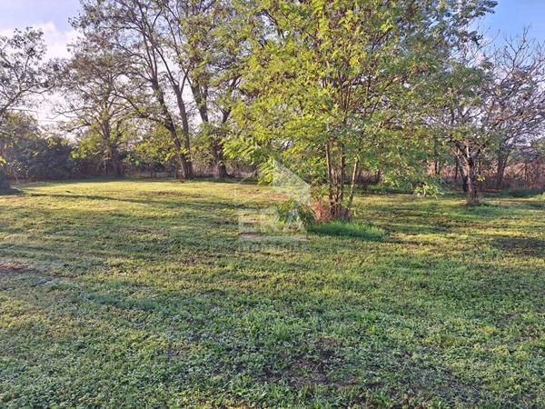 Maison de campagne à 10 minutes de Montpon Ménestérol.