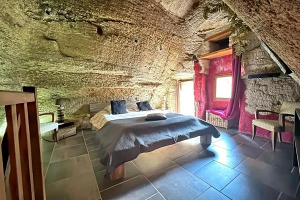 Domaine troglodyte d'exception avec salle de cinéma