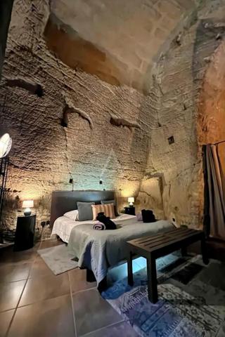 Domaine troglodyte d'exception avec salle de cinéma