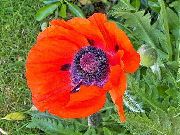 Maison 4 pièces à Poitiers - Proche commodités et écoles