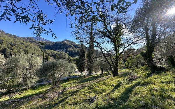 Terrain à vendre    Gorbio
