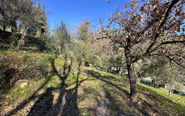 Terrain à vendre    Gorbio