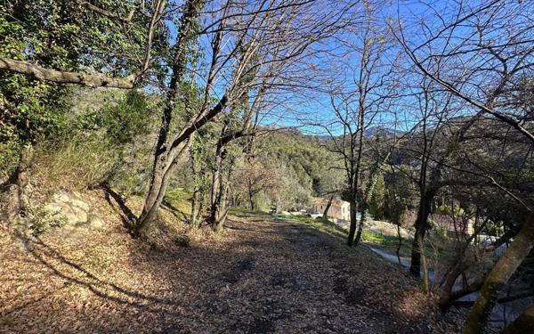 Terrain à vendre    Gorbio